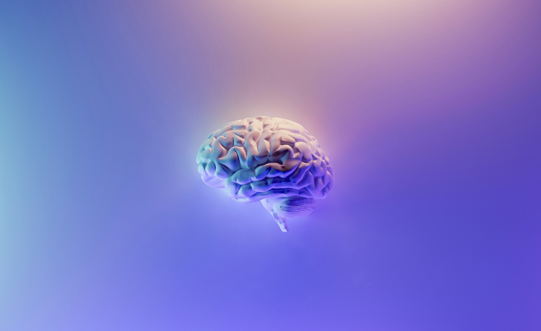 Una aliança entre Microsoft i una startup cerca replicar el cervell humà amb IA