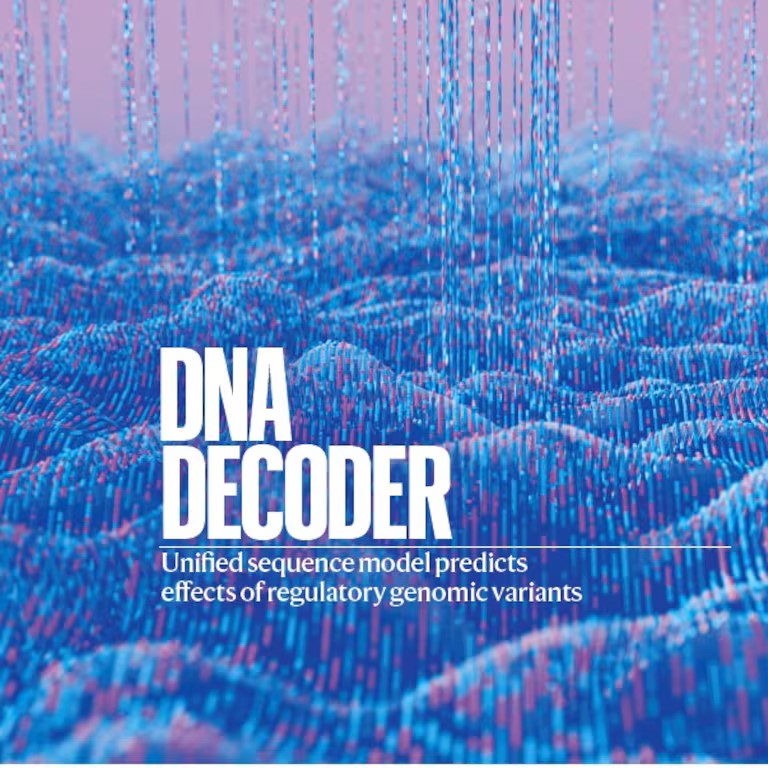 AlphaGenome: el model que llegeix l’ADN no codificant i assenyala mutacions amb nom i cognoms