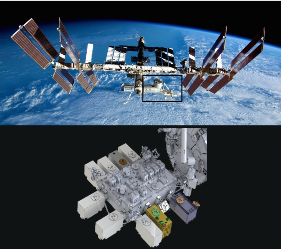 Intel·ligència Artificial i GEDI: la missió espacial que “pesa” el carboni dels boscos